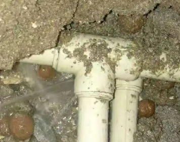 八步测漏水多少钱