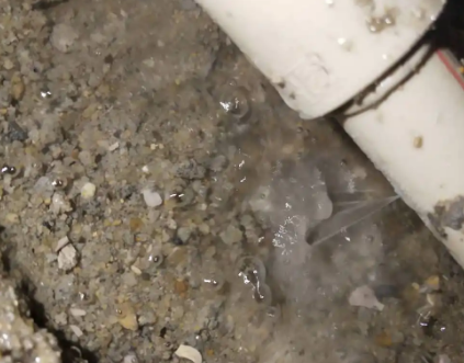 八步测漏水电话号码