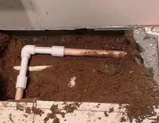 八步测漏水哪家好