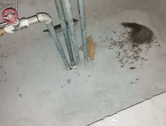 八步卫生间测漏水价格明细