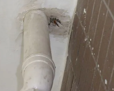 八步漏水检测哪家好